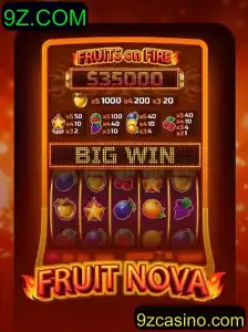 Descubra o Mundo de FruitNova: Um Jogo de Estratégia Emocionante